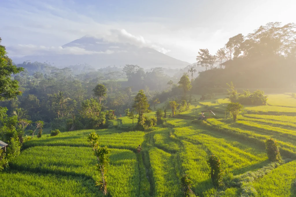 Bali, Endonezya'da yapılacak en iyi şeyler