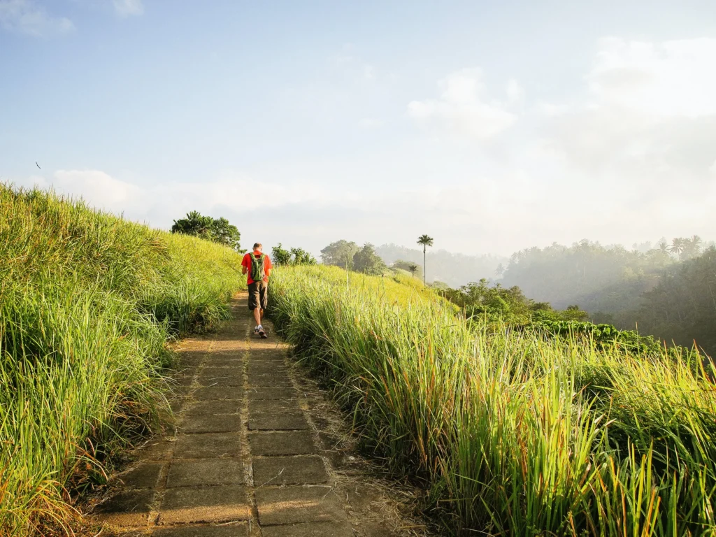 Ubud, Bali'de Campuhan Ridge Walk