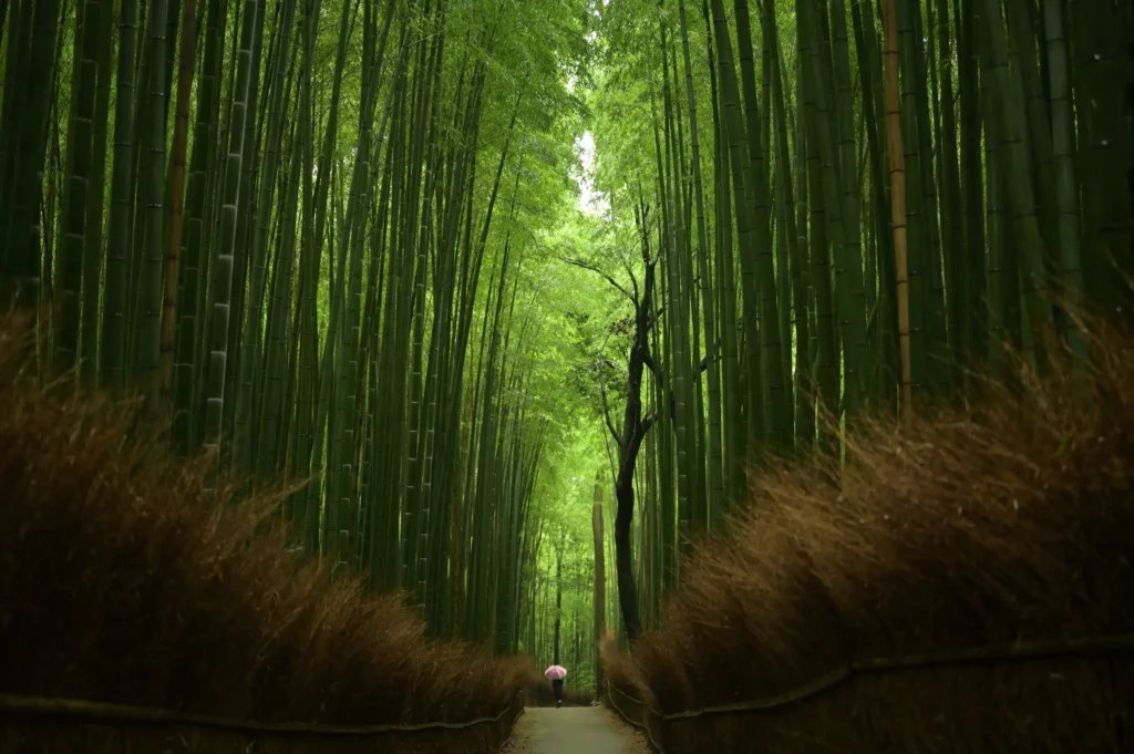 kyoto_arashiyama_yapilacaklar