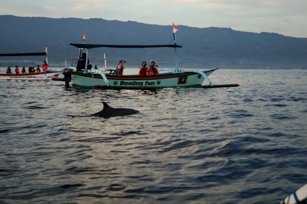 Lovina, Bali'de yunuslar