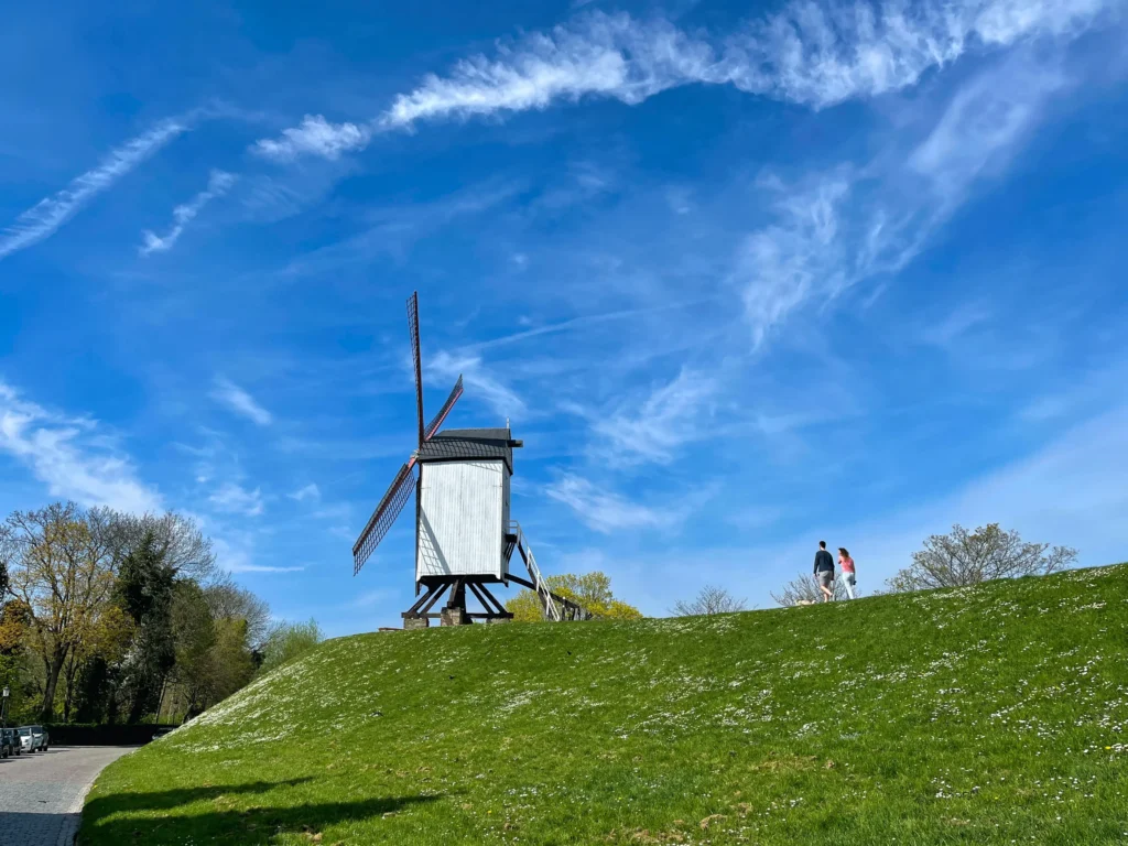 see windmill bruges trip