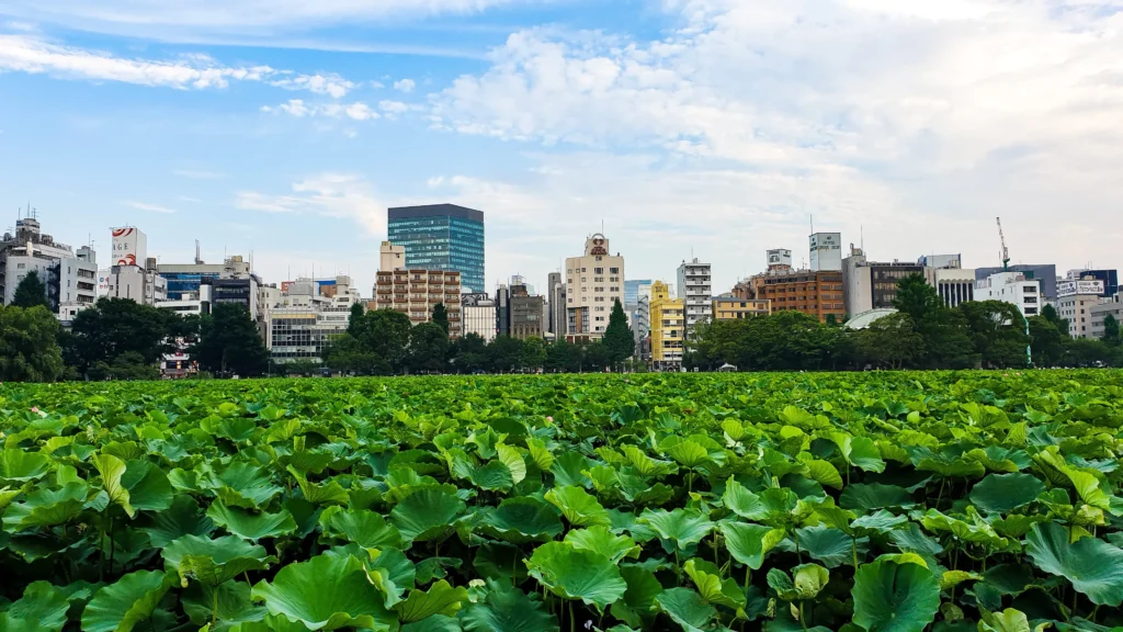 tokyo ueno park'ta yapılacak şeyler